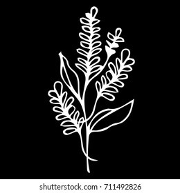 Lavender vector illustration. Doodle style. Design icon, print, logo, poster, symbol, decor, textile, paper, card. 