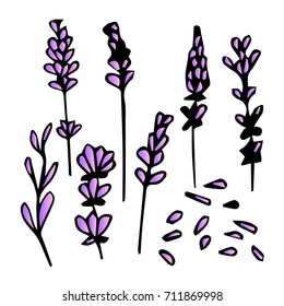 Lavender vector illustration. Doodle style. Design icon, print, logo, poster, symbol, decor, textile, paper, card. 