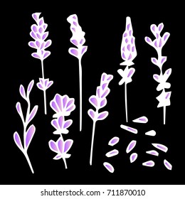Lavender vector illustration. Doodle style. Design icon, print, logo, poster, symbol, decor, textile, paper, card. 