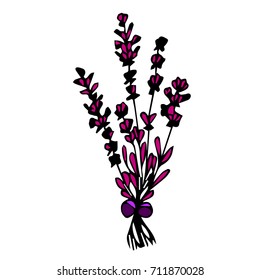 Lavender vector illustration. Doodle style. Design icon, print, logo, poster, symbol, decor, textile, paper, card. 