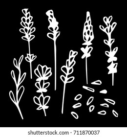 Lavender vector illustration. Doodle style. Design icon, print, logo, poster, symbol, decor, textile, paper, card. 