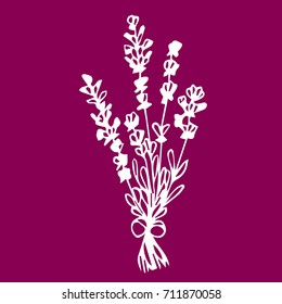 Lavender vector illustration. Doodle style. Design icon, print, logo, poster, symbol, decor, textile, paper, card. 
