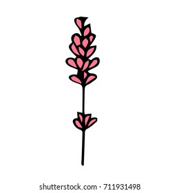 Lavender vector illustration. Doodle style. Design icon, print, logo, poster, symbol, decor, textile, paper, card. 