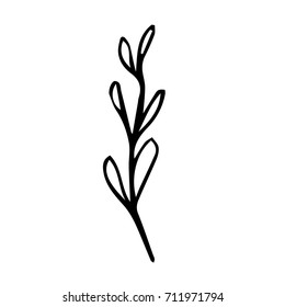 Lavender vector illustration. Doodle style. Design icon, print, logo, poster, symbol, decor, textile, paper, card. 