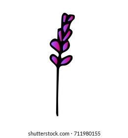 Lavender vector illustration. Doodle style. Design icon, print, logo, poster, symbol, decor, textile, paper, card. 