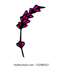Lavender vector illustration. Doodle style. Design icon, print, logo, poster, symbol, decor, textile, paper, card. 