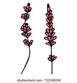 Lavender vector illustration. Doodle style. Design icon, print, logo, poster, symbol, decor, textile, paper, card. 