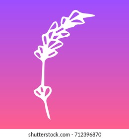 Lavender vector illustration. Doodle style. Design icon, print, logo, poster, symbol, decor, textile, paper, card. 
