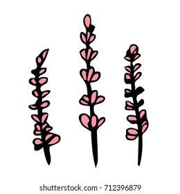 Lavender vector illustration. Doodle style. Design icon, print, logo, poster, symbol, decor, textile, paper, card. 