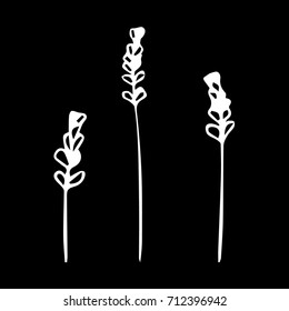 Lavender vector illustration. Doodle style. Design icon, print, logo, poster, symbol, decor, textile, paper, card. 