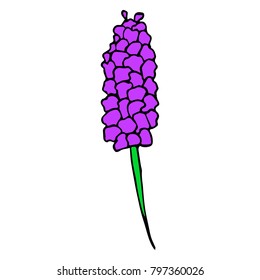 Lavender vector illustration. Doodle style. Design, print, logo, decor, textile, paper.