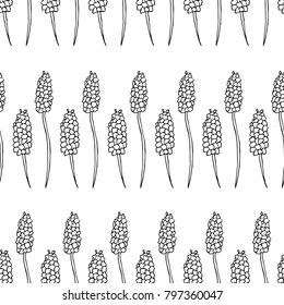 Lavender vector illustration. Doodle style. Design, print, logo, decor, textile, paper.