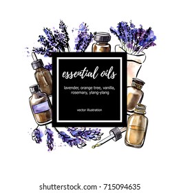 Lavender. Vector illustration Essential oil. Hand drawn watercolor bottles, aromatic plants and flowers and black square frame with place for your text. Aromatherapy card, poster, flyer design.