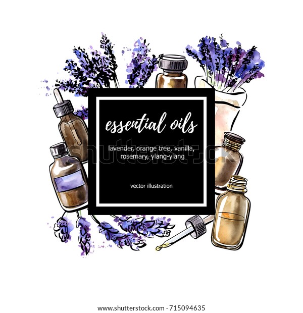 Lavender Vector Illustration Essential Oil Hand Stock Vector (Royalty ...