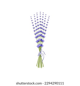 Ilustración vectorial de lavanda estilo Provenza. Para cartas.