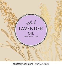 Lavender vector natural hand drawn sketch outline background with banner. Ready package golden design