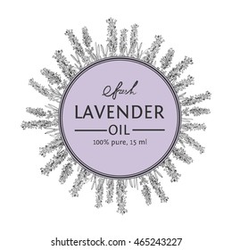 Lavender vector natural hand drawn sketch outline background with banner