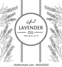 Lavender vector natural hand drawn sketch outline background with banner