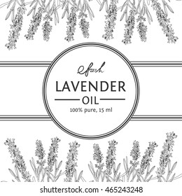 Lavender vector natural hand drawn sketch outline background with banner