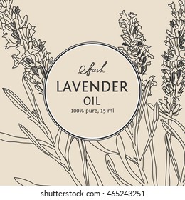 Lavender vector natural hand drawn sketch outline background with banner