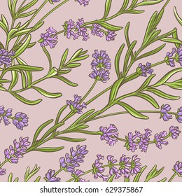 lavender vector  pattern