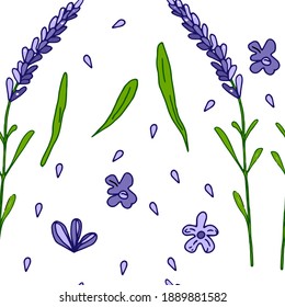 Lavender vector seamless pattern. Purple lavender flowers seamless pattern for prints, paper, textile or postcards