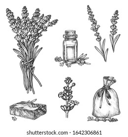 Lavender vector sketch botanical illustration of aromatherapy essential oil, herbal soap and perfumed bag. Hand drawn pencil sketch lavender flowers bunch for Provence aroma product package design