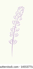 Lavender vector sketch, logo, icon, postcard.