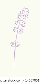 Lavender vector sketch, logo, icon, postcard.