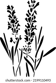 Lavender Vector Stencil, black and white