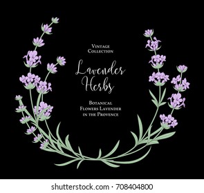 The lavender vintage card with bouquet of flowers and text on the dark background. Blooming lavender for wedding invitation. Frame with lavender herbs. Vector illustration.