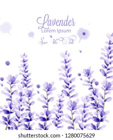 Lavender watercolor card Vector. delicate floral blooming decor. Wedding ceremony, postcard, Women day greeting. Beautiful pastel color