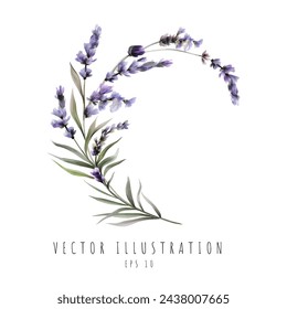 Curva de acuarela de lavanda aislada sobre fondo blanco. Ilustración de vector