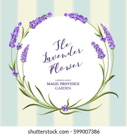 La corona de lavanda con ramo de flores y texto. Flor de lavanda para la invitación al matrimonio. Marco con flores de lavanda. Ilustración vectorial.