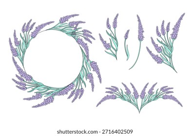 Corona de lavanda y Elementos florales. Ilustración botánica dibujada a mano para invitaciones, tarjetas, empaques y diseño de logotipos.