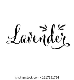 Lavender writing. Handwritten calligraphy lettering composition. Vector illustration logo. Design for postcards, t-shirts, banners, greeting card, event, flyer. 