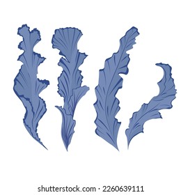 laver, porphyra tenera. algae vector stock illustration isolated on a white background. Underwater world of the ocean, coral reef.