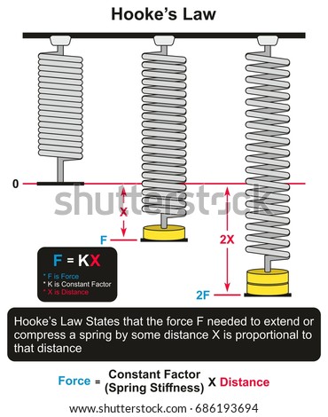 Hooke’s Law infographic diagram with an example of three springs one at rest and other two with different forces applied and different distances for physics science education