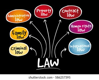 Law Practices Mind Map Business Concept Stock Vector (Royalty Free ...