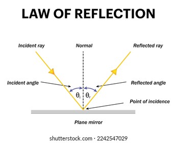 ley de reflexión del diagrama de infografía de luz en la educación física de la ciencia. El rayo de luz cae sobre un espejo y se refleja el ángulo de incidencia y el ángulo de reflexión de un ángulo.