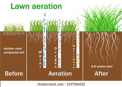 Soil Aeration High Res Stock Images Shutterstock