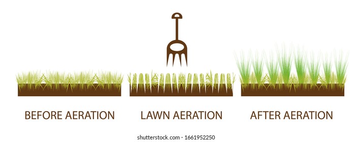 Lawn aeration. Gardening grass lawn care, landscaping service. Before and after lawn aeration, lawn grass care service, gardening and landscape design. Vector illustration