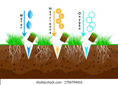 Lawn aeration. Lawn grass care service, gardening and landscape design. Waste of aeration technique used in the upkeep of turf. Lawn maintenance. For article, infographics or instruction. Stock vector