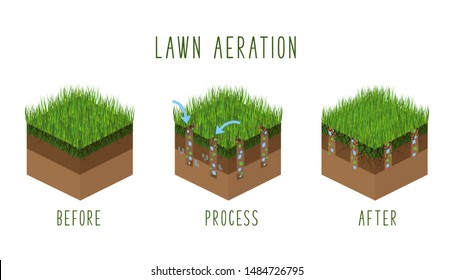 Lawn aeration process steps, isometric - before and after, lawn grass care service, gardening and landscaping, isolated illustration for article, infographics or instruction on white,  vector