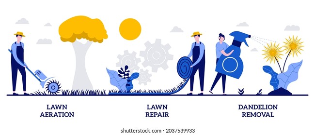 Lawn aeration and repair, dandelion removal concept with tiny people. Lawn maintenance vector illustration set. Overseeding service, grass fertilization, thatch and moss, soil compaction metaphor.