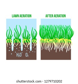 Lawn aeration stage illustration. Gardening grass lawncare, landscaping service. Vector isolated on white background - Shutterstock ID 1279710202