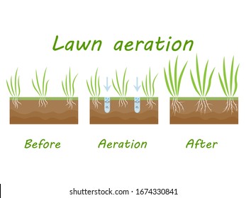 Lawn Aeration Process Steps Before After Stock Vector (Royalty Free ...