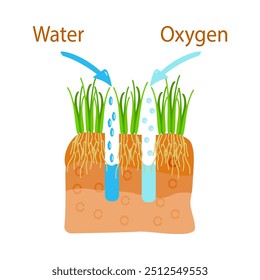 Aireación del césped. Etapa de aireación del césped. Agua, oxígeno, aire, nutrientes y acceso de fertilizantes a la tierra. Cuidado del césped, servicio de jardinería, beneficios de la aireación. Núcleo del césped para el cuidado de los pastizales. Ilustración vectorial