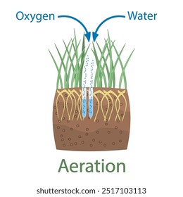 Aireación del césped. Etapa de aireación del césped. Agua, oxígeno, aire, nutrientes y acceso de fertilizantes a la tierra. Cuidado del césped, servicio de jardinería, beneficios de la aireación. Núcleo del césped para el cuidado de los pastizales. Ilustración vectorial