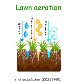 Aireación del césped. Etapa de aireación del césped. Agua, oxígeno, aire, nutrientes y acceso de fertilizantes a la tierra. Cuidado del césped, servicio de jardinería, beneficios de la aireación. Núcleo del césped para el cuidado de los pastizales. Ilustración vectorial